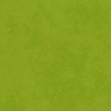 Asparagus Shadow Play