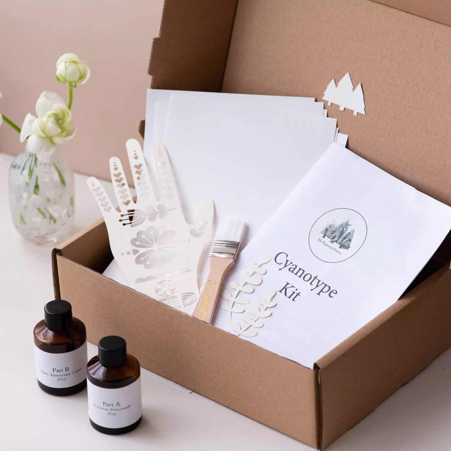 Cyanotype Kit