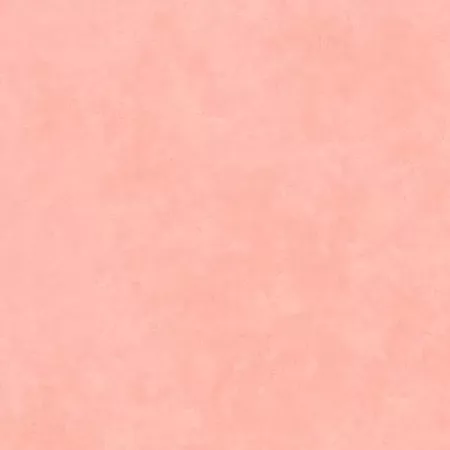 Peony Pink Shadow Play