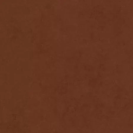 Saddle Brown Shadow Play