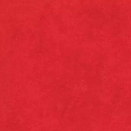 Tulip Red Shadow Play