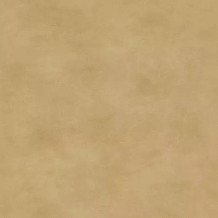 Warm Tan Tonal