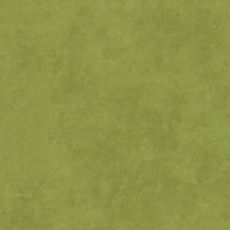 Willow Green Shadow Play
